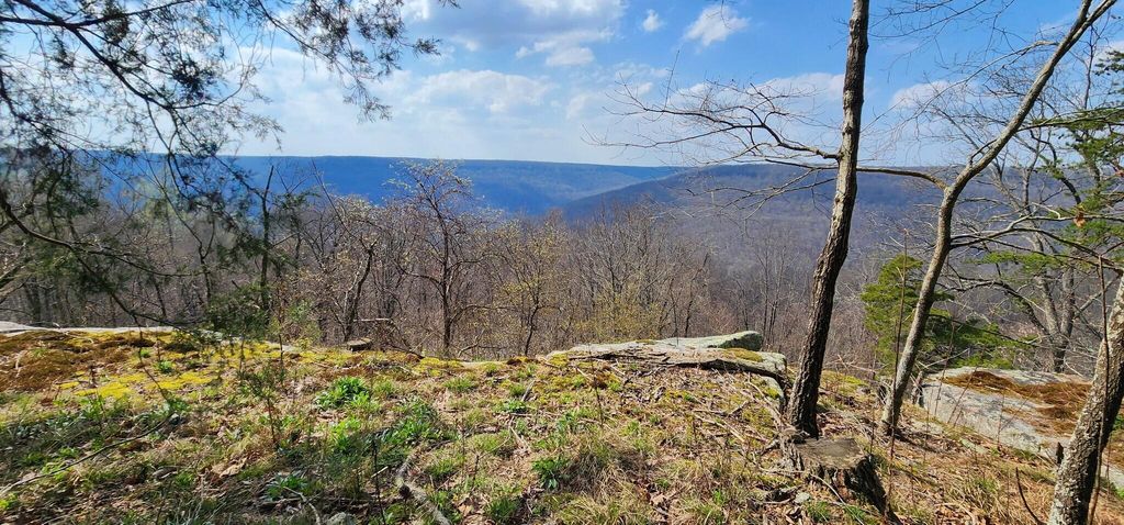0 Roth Point Road 5, Altamont, TN 37301