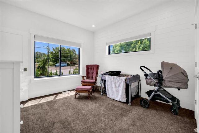 266 S 300 W, Mt Pleasant, UT 84647