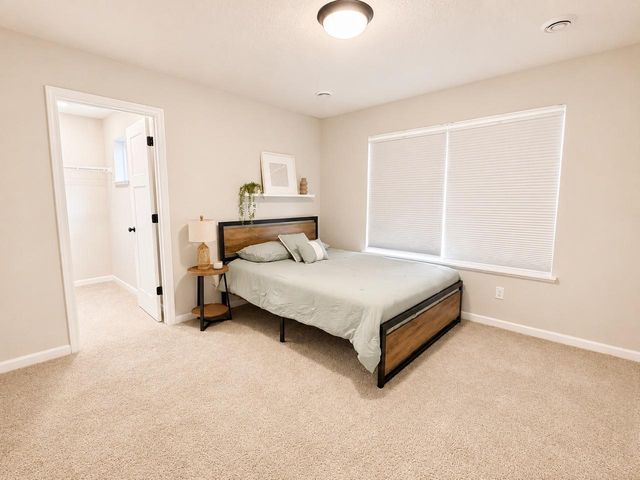 1092 Annacotte Lane, Rosemount, MN 55068