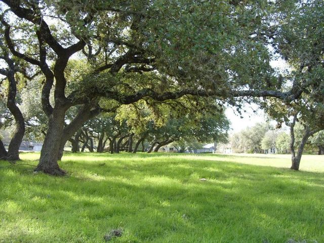 86 Champions CIR, Wimberley, TX 78676