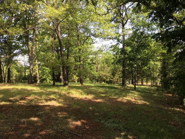 98 Anthony Road, Pineville, MO 64856