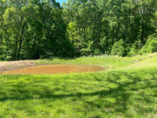 98 Anthony Road, Pineville, MO 64856