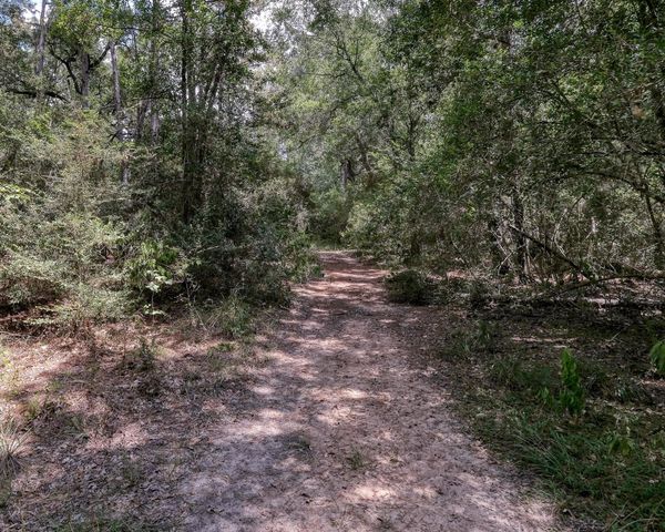 2160 Bowler Road, Waller, TX 77484