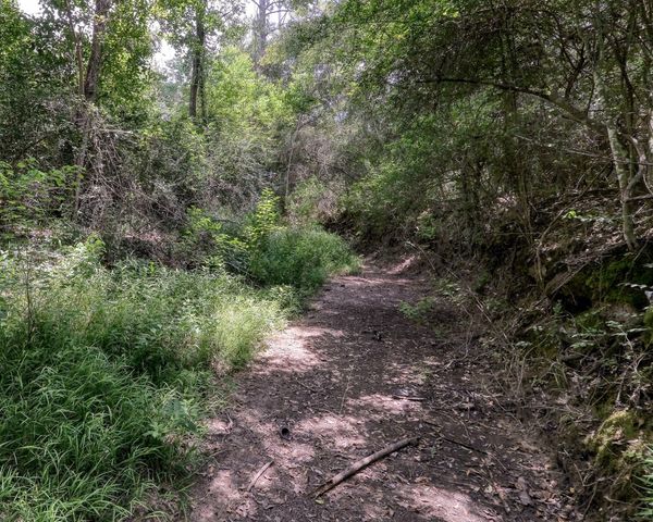2160 Bowler Road, Waller, TX 77484