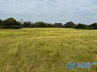 27185 B Union Hill Road, Anderson, AL 35610