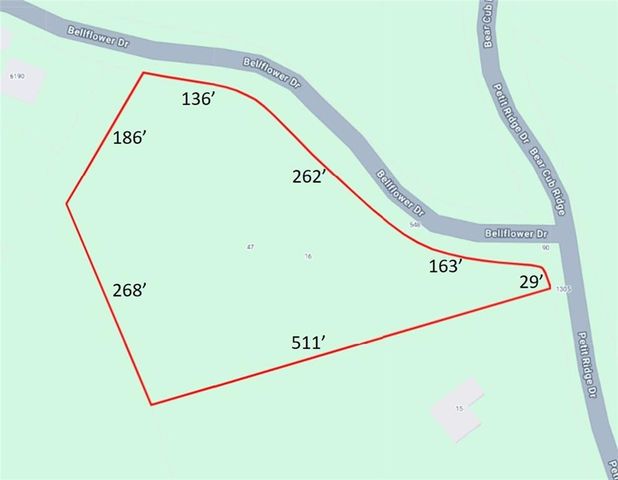 47 Bell Flower Drive, Jasper, GA 30143