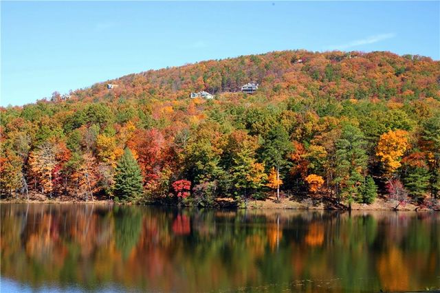 47 Bell Flower Drive, Jasper, GA 30143