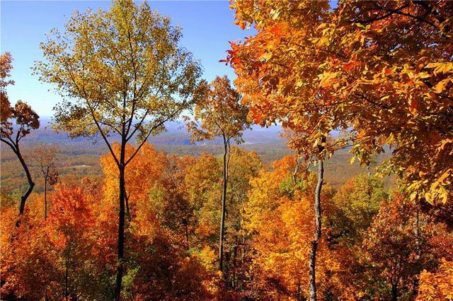 47 Bell Flower Drive, Jasper, GA 30143