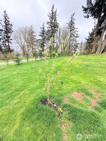 0 1 & 2 M Olympic Drive, Hat Island, WA 98206