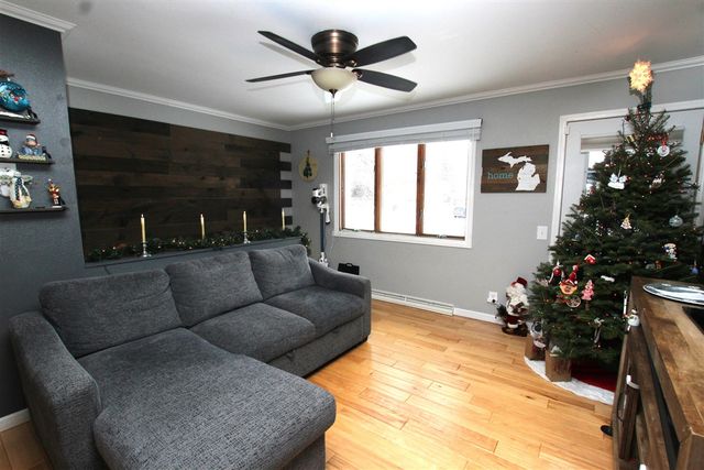 313 N Linden Avenue, Fremont, MI 49412