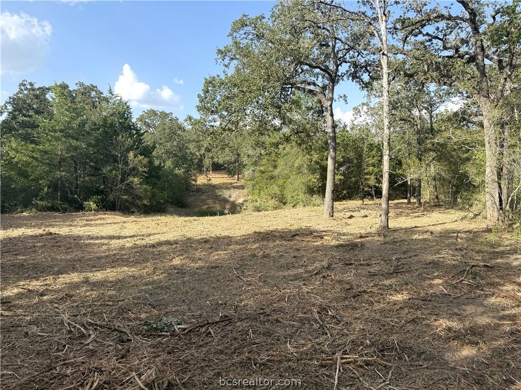 13358 Double Deuce Lane Lane NW, Bryan, TX 77807 — photo 2