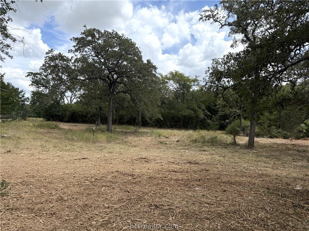 13358 Double Deuce Lane Lane NW, Bryan, TX 77807 — photo 4