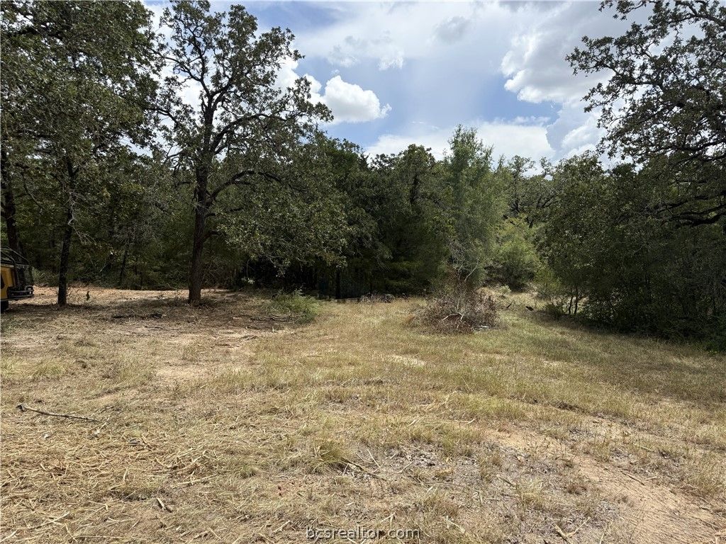 13358 Double Deuce Lane Lane NW, Bryan, TX 77807 — photo 5