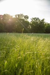 TBD SW CR 2349, Richland, TX 76681