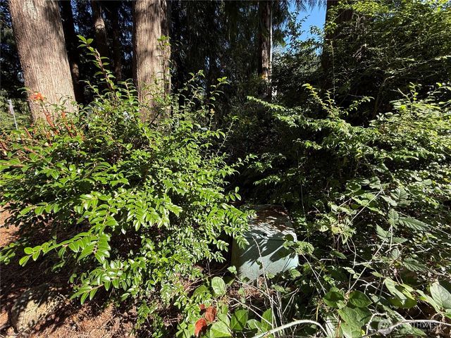 310 E Ballantrae Drive, Shelton, WA 98584