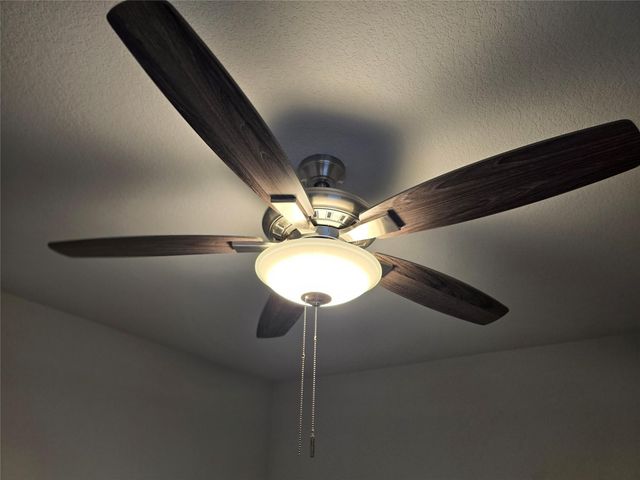 602D Pearly Eye DR, Pflugerville, TX 78660