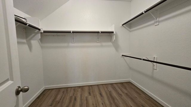 602D Pearly Eye DR, Pflugerville, TX 78660