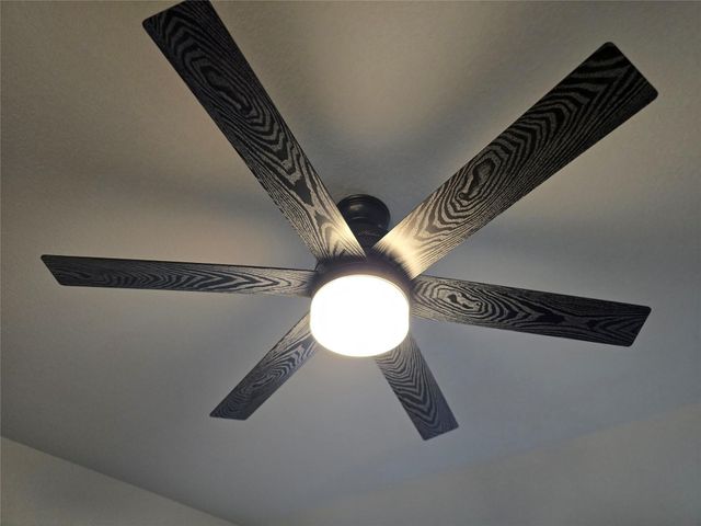 602D Pearly Eye DR, Pflugerville, TX 78660