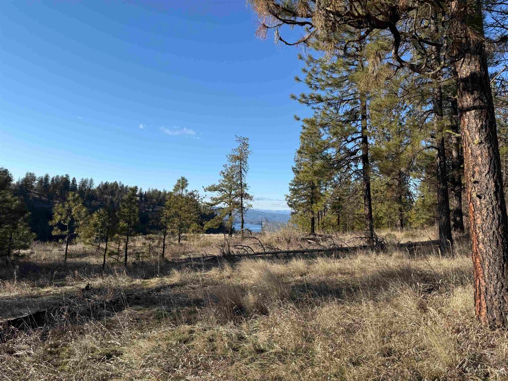 15211 N Wood Rd, Nine Mile Falls, WA 99026 photo 12