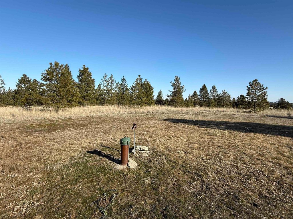 15211 N Wood Rd, Nine Mile Falls, WA 99026 photo 16