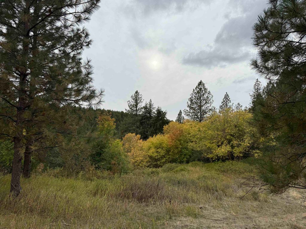 15211 N Wood Rd, Nine Mile Falls, WA 99026 photo 24