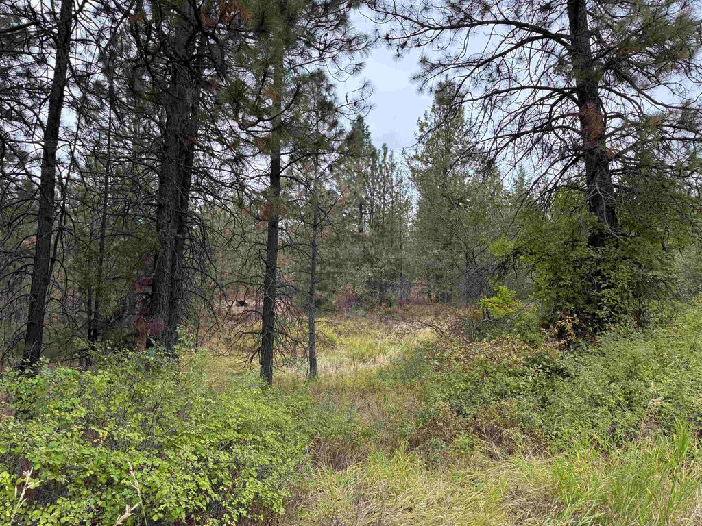 15211 N Wood Rd, Nine Mile Falls, WA 99026 photo 25