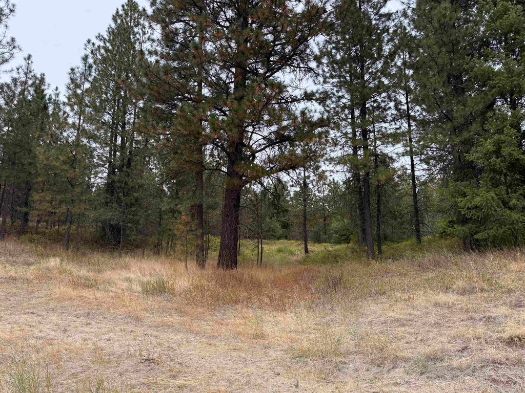 15211 N Wood Rd, Nine Mile Falls, WA 99026 photo 26