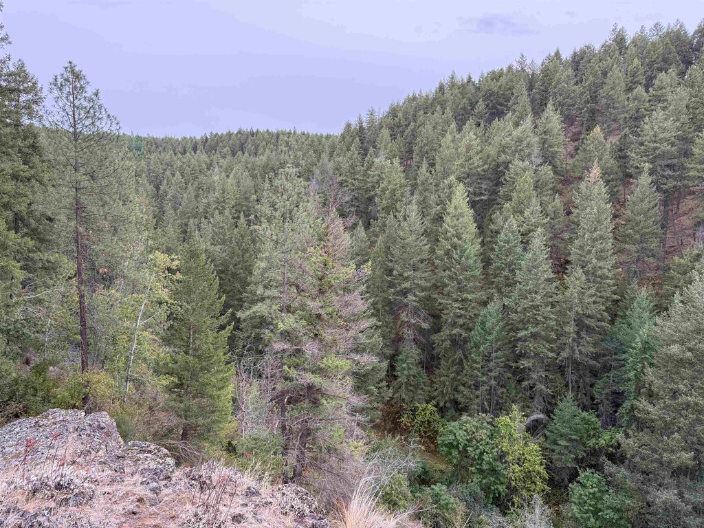 15211 N Wood Rd, Nine Mile Falls, WA 99026 photo 27