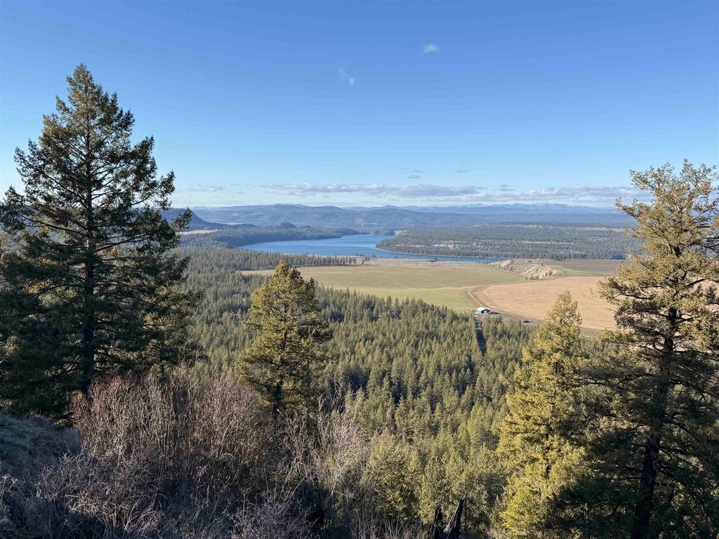 15211 N Wood Rd, Nine Mile Falls, WA 99026 photo 4