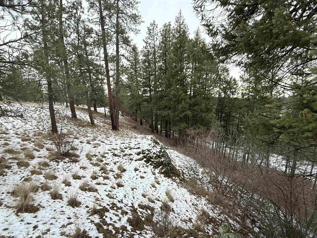 15211 N Wood Rd, Nine Mile Falls, WA 99026 photo 38