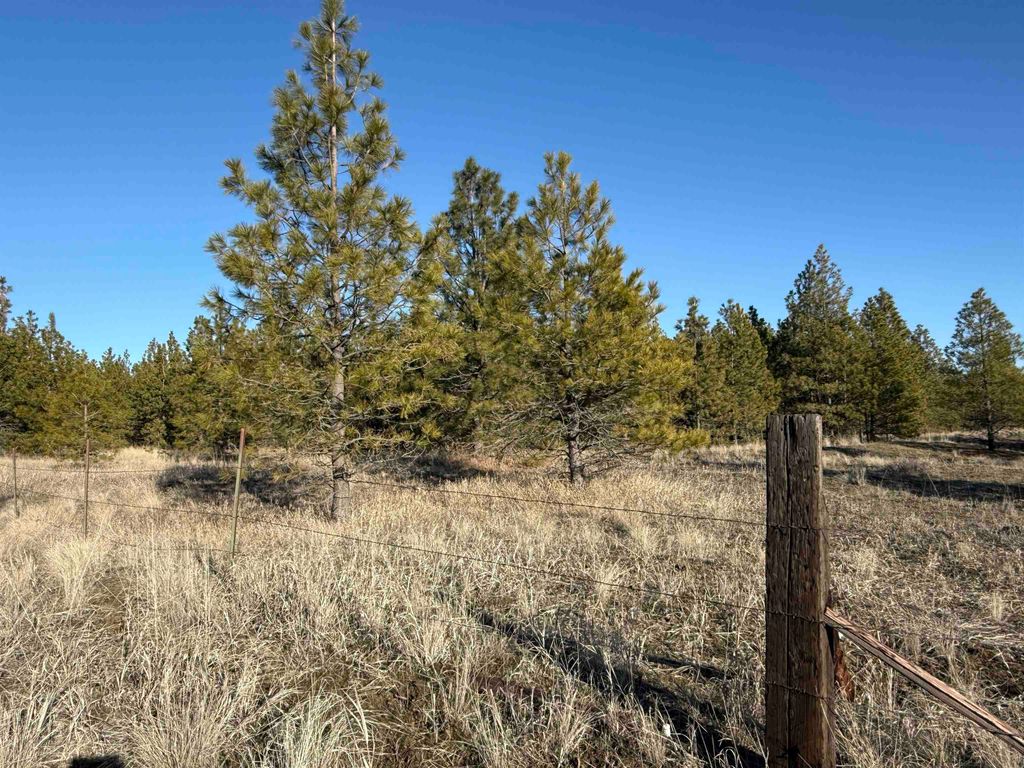 15211 N Wood Rd, Nine Mile Falls, WA 99026 photo 8