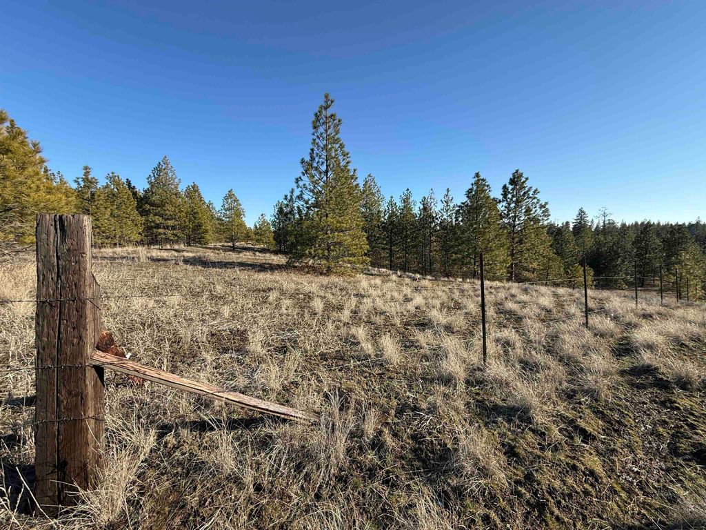 15211 N Wood Rd, Nine Mile Falls, WA 99026 photo 9