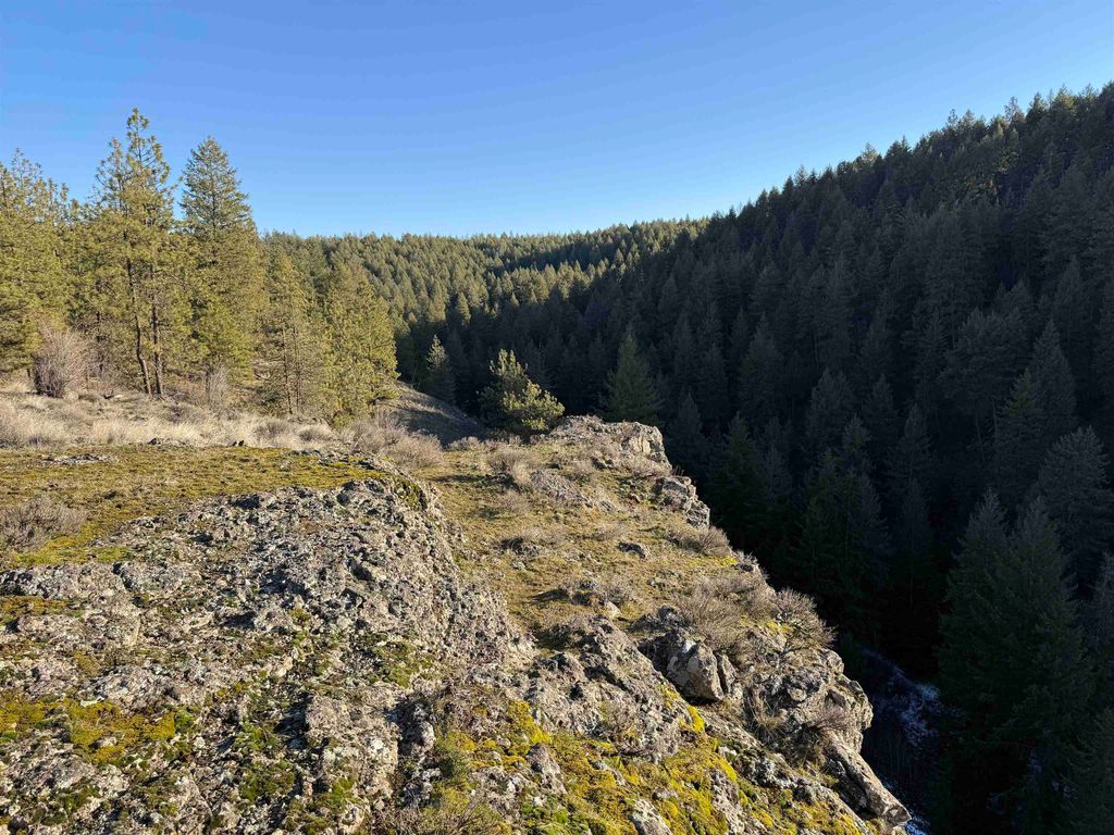 15211 N Wood Rd, Nine Mile Falls, WA 99026 photo 10