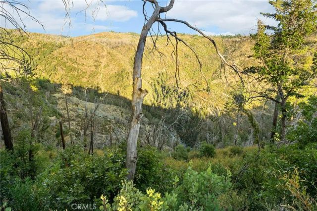 0 Coutolenc, Magalia, CA 95954