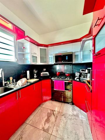 3 LUHN URB. VICTOR BRAEGGER, Guaynabo, PR 00966