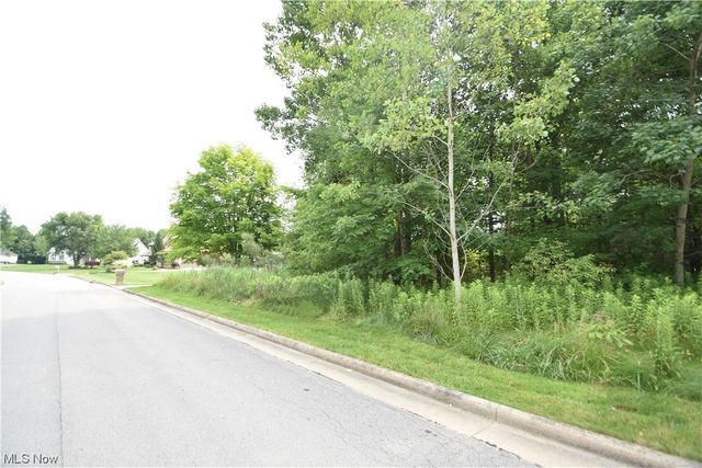 Saddlebrook Lot 123 Drive, Boardman, OH 44512