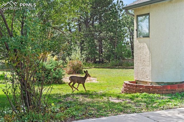 2655 Crestwood Drive, Monument, CO 80132