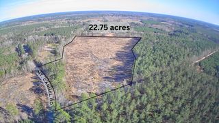 Tbd E Mt Carmel Road, Walterboro, SC 29488