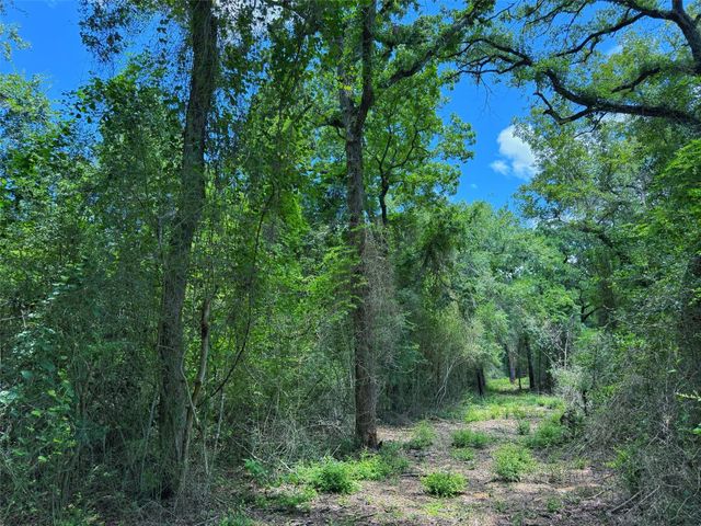 TBD Cr 296, Oakwood, TX 75855