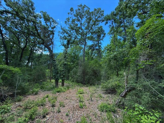 TBD Cr 296, Oakwood, TX 75855