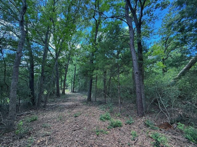 TBD Cr 296, Oakwood, TX 75855