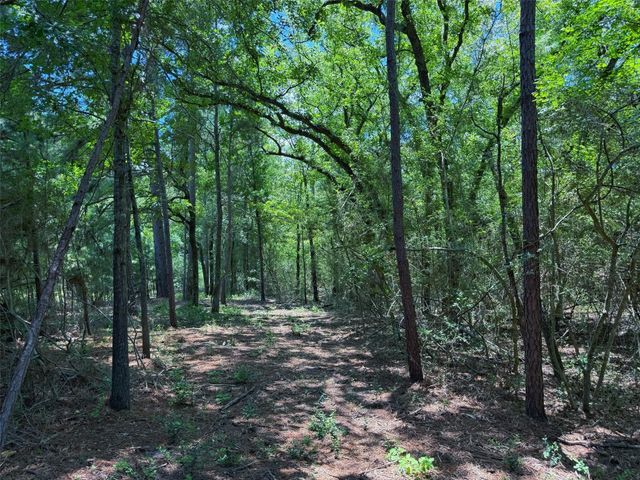 TBD Cr 296, Oakwood, TX 75855