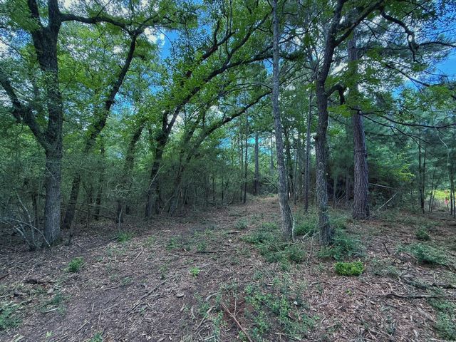 TBD Cr 296, Oakwood, TX 75855