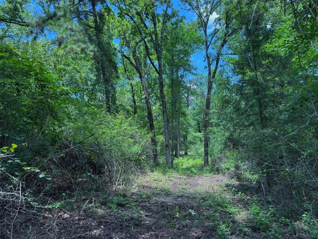 TBD Cr 296, Oakwood, TX 75855