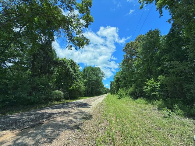 TBD Cr 296, Oakwood, TX 75855