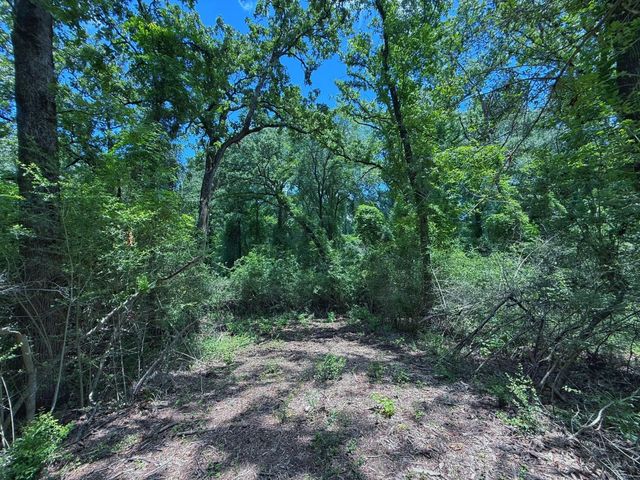 TBD Cr 296, Oakwood, TX 75855