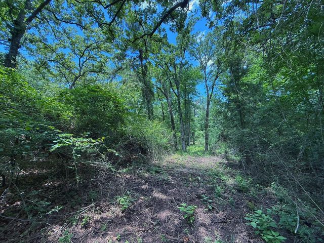 TBD Cr 296, Oakwood, TX 75855