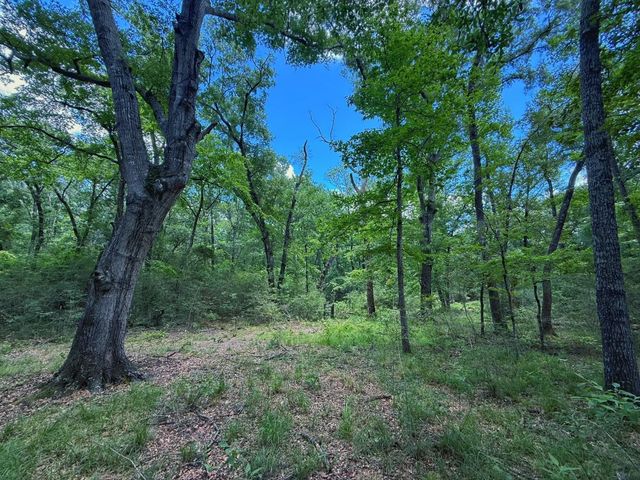 TBD Cr 296, Oakwood, TX 75855