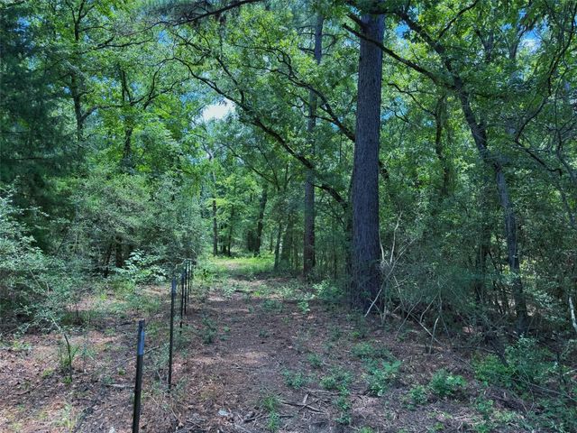 TBD Cr 296, Oakwood, TX 75855