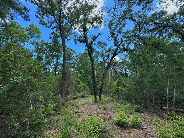 TBD Cr 296, Oakwood, TX 75855